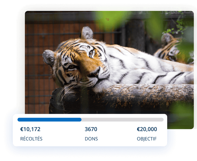 Fonds d'assistance médicale Fonds d'assistance médicale