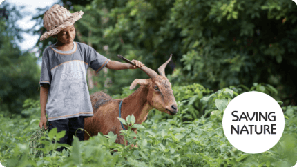 Saving Nature Saving Nature