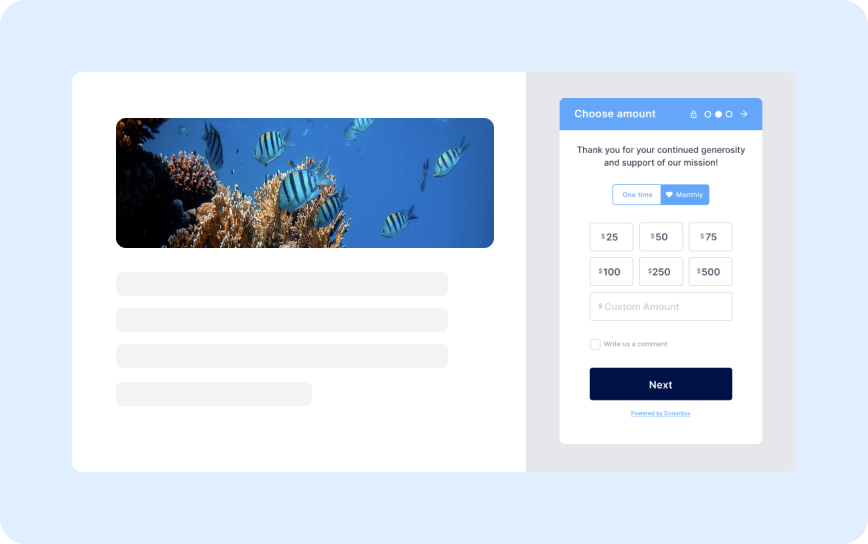 Embeddable Donation Form