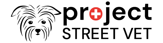 How Project Street Vet grew monthly giving and raised $1M+ to care for homeless pets